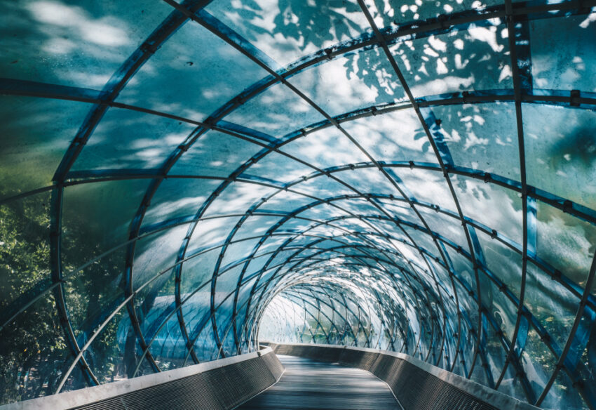 Structural,Glass,Facade,Curving,Roof,And,The,Wooden,Pathway,Inside.